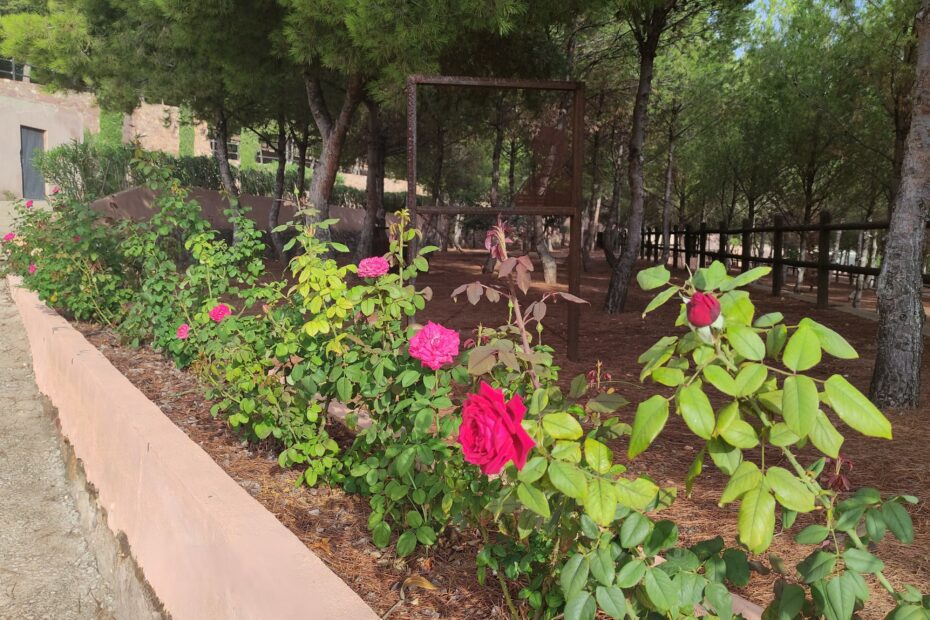 00362c11-331b-4989-947d-34eb74b3ace2